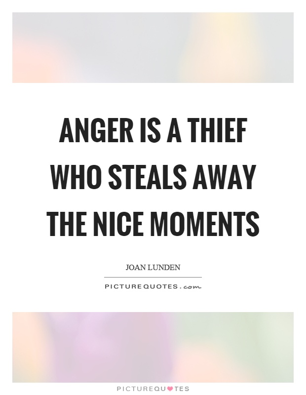Anger is a thief who steals away the nice moments Picture Quote #1