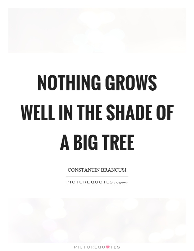 Nothing grows well in the shade of a big tree Picture Quote #1