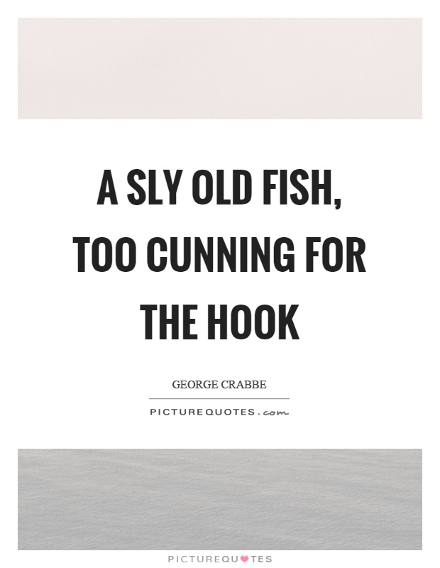 A sly old fish, too cunning for the hook Picture Quote #1