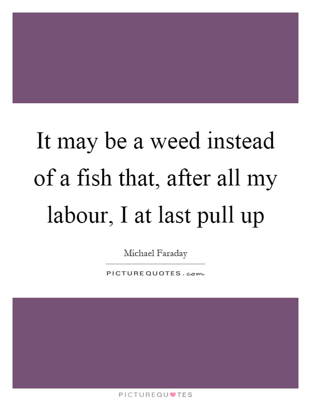 It may be a weed instead of a fish that, after all my labour, I at last pull up Picture Quote #1