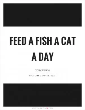 Feed a fish a cat a day Picture Quote #1
