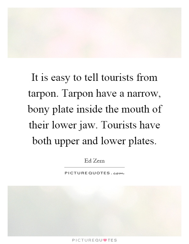 It is easy to tell tourists from tarpon. Tarpon have a narrow, bony plate inside the mouth of their lower jaw. Tourists have both upper and lower plates Picture Quote #1