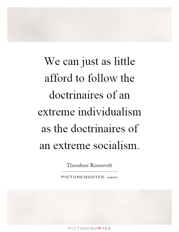 We can just as little afford to follow the doctrinaires of an extreme individualism as the doctrinaires of an extreme socialism Picture Quote #1