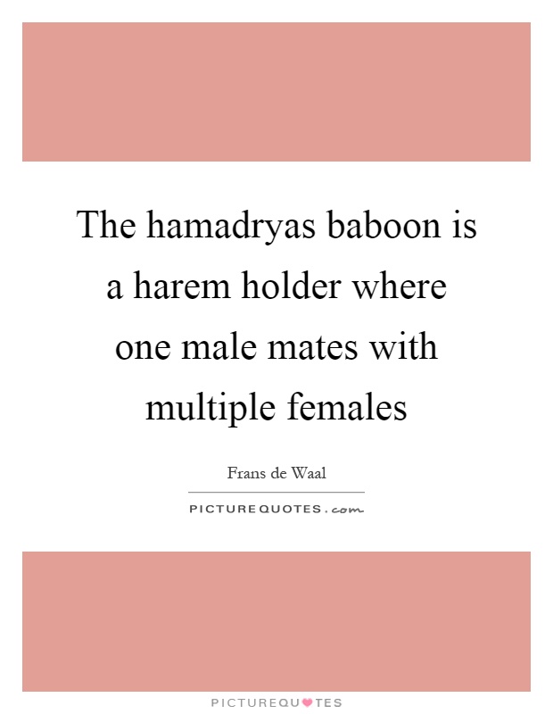 The hamadryas baboon is a harem holder where one male mates with multiple females Picture Quote #1