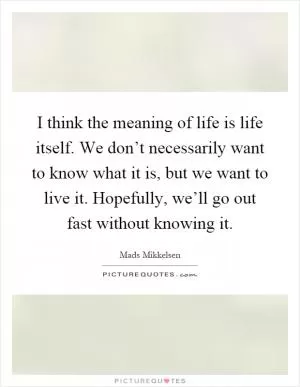 I think the meaning of life is life itself. We don’t necessarily want to know what it is, but we want to live it. Hopefully, we’ll go out fast without knowing it Picture Quote #1