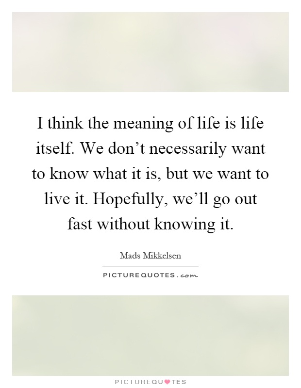 I think the meaning of life is life itself. We don't necessarily want to know what it is, but we want to live it. Hopefully, we'll go out fast without knowing it Picture Quote #1