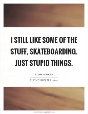 I still like some of the stuff, skateboarding. Just stupid things Picture Quote #1