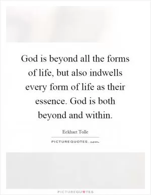 God is beyond all the forms of life, but also indwells every form of life as their essence. God is both beyond and within Picture Quote #1