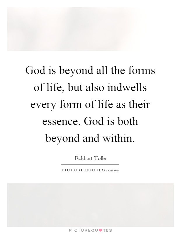 God is beyond all the forms of life, but also indwells every form of life as their essence. God is both beyond and within Picture Quote #1