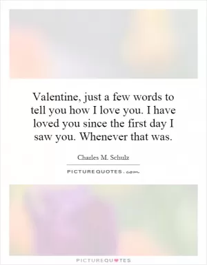 Valentine, just a few words to tell you how I love you. I have loved you since the first day I saw you. Whenever that was Picture Quote #1