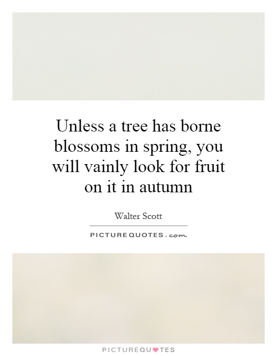 Unless a tree has borne blossoms in spring, you will vainly look for fruit on it in autumn Picture Quote #1