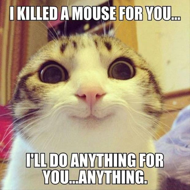 I killed a mouse for you... I'll do anything for you... anything Picture Quote #1