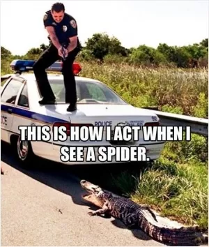 This is how I act when I see a spider Picture Quote #1