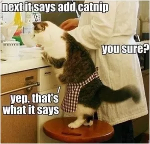 Next it says add catnip. You sure? Yep, that's what it says Picture Quote #1