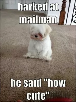 Barked at mailman - he said 