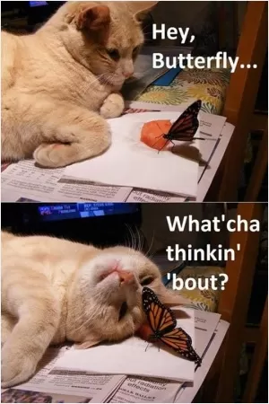 Hey butterfly, what'cha thinkin' 'bout? Picture Quote #1