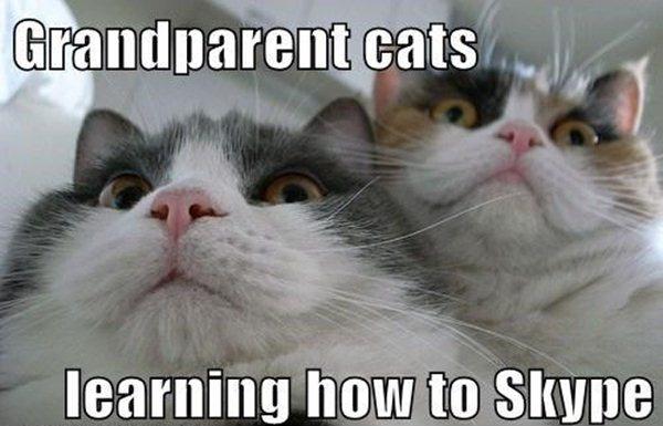 Grandparent cats, learning how to skype Picture Quote #1