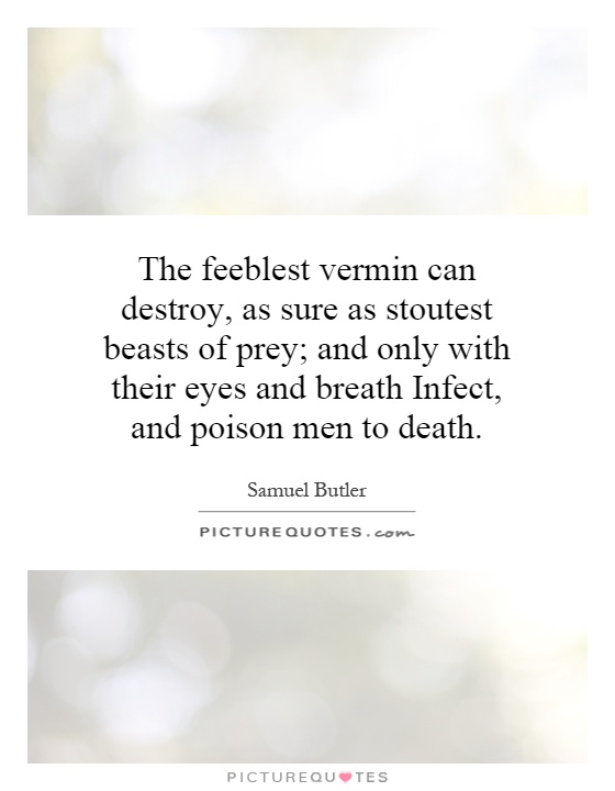 The feeblest vermin can destroy, as sure as stoutest beasts of prey; and only with their eyes and breath Infect, and poison men to death Picture Quote #1