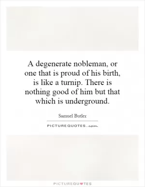 A degenerate nobleman, or one that is proud of his birth, is like a turnip. There is nothing good of him but that which is underground Picture Quote #1
