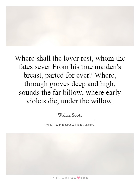 Where shall the lover rest, whom the fates sever From his true maiden's breast, parted for ever? Where, through groves deep and high, sounds the far billow, where early violets die, under the willow Picture Quote #1
