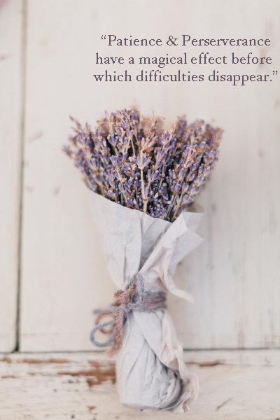 Patience and perseverance have a magical effect before which difficulties disappear and obstacles vanish Picture Quote #1