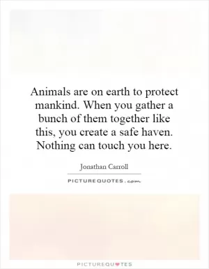 Animals are on earth to protect mankind. When you gather a bunch of them together like this, you create a safe haven. Nothing can touch you here Picture Quote #1