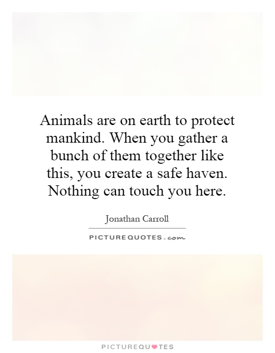 Animals are on earth to protect mankind. When you gather a bunch of them together like this, you create a safe haven. Nothing can touch you here Picture Quote #1