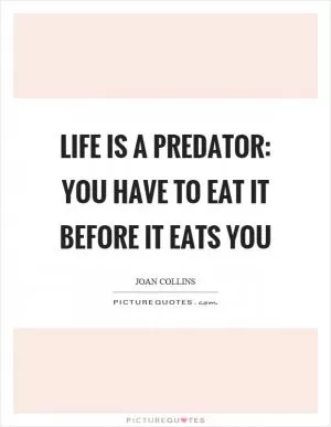 Life is a predator: you have to eat it before it eats you Picture Quote #1
