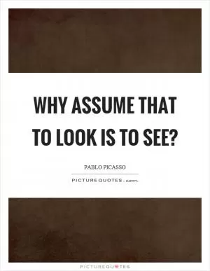 Why assume that to look is to see? Picture Quote #1