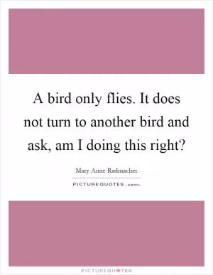 A bird only flies. It does not turn to another bird and ask, am I doing this right? Picture Quote #1