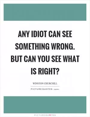 Any idiot can see something wrong. But can you see what is right? Picture Quote #1