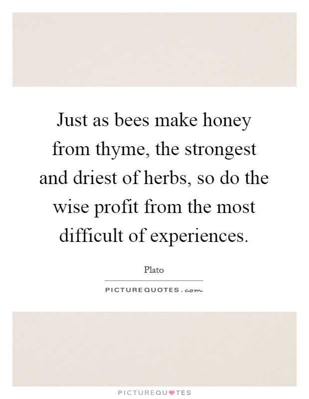 Just as bees make honey from thyme, the strongest and driest of herbs, so do the wise profit from the most difficult of experiences Picture Quote #1