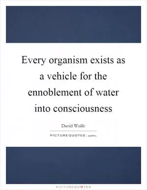 Every organism exists as a vehicle for the ennoblement of water into consciousness Picture Quote #1
