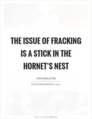 The issue of fracking is a stick in the hornet’s nest Picture Quote #1