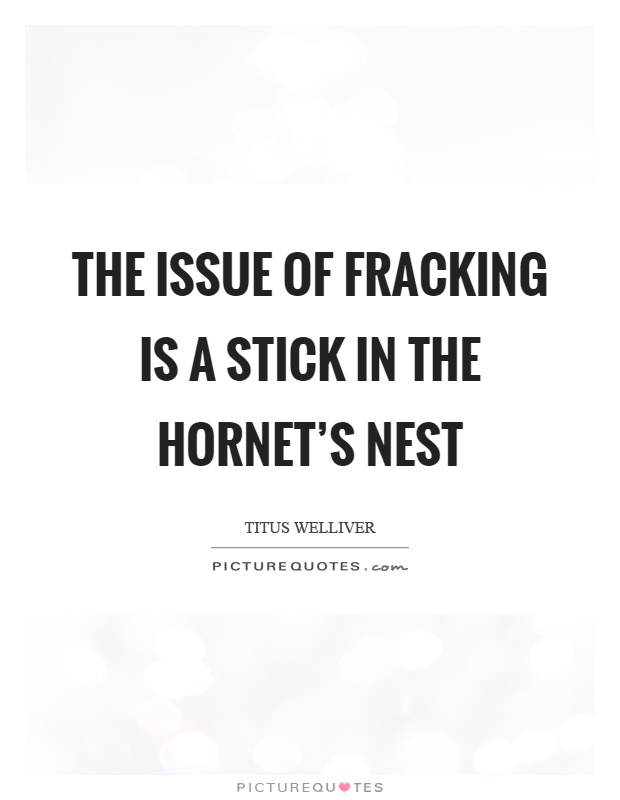 The issue of fracking is a stick in the hornet's nest Picture Quote #1