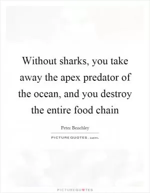 Without sharks, you take away the apex predator of the ocean, and you destroy the entire food chain Picture Quote #1