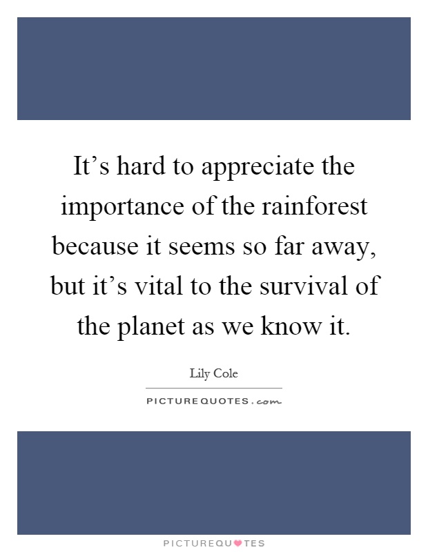 It's hard to appreciate the importance of the rainforest because it seems so far away, but it's vital to the survival of the planet as we know it Picture Quote #1