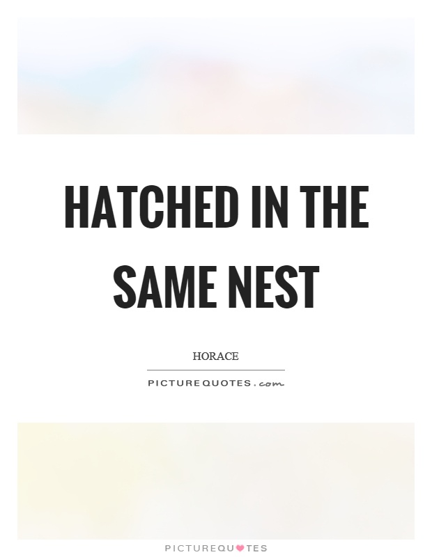 Hatched in the same nest Picture Quote #1