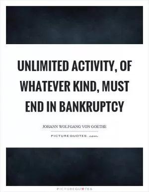 Unlimited activity, of whatever kind, must end in bankruptcy Picture Quote #1