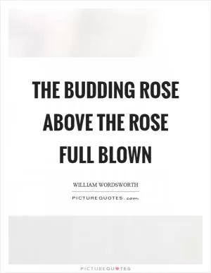 The budding rose above the rose full blown Picture Quote #1