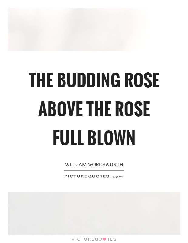 The budding rose above the rose full blown Picture Quote #1