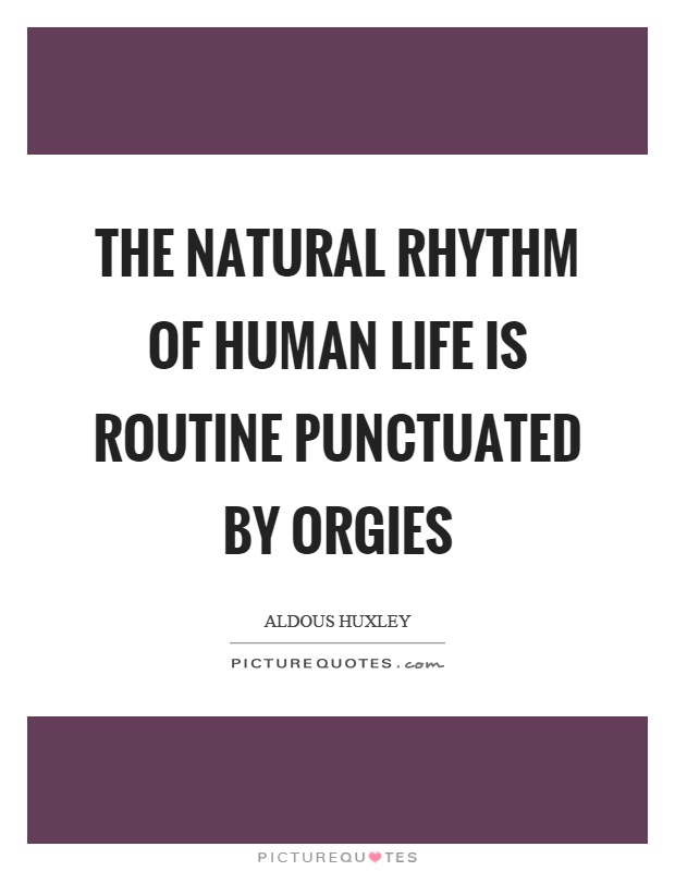 The natural rhythm of human life is routine punctuated by orgies Picture Quote #1