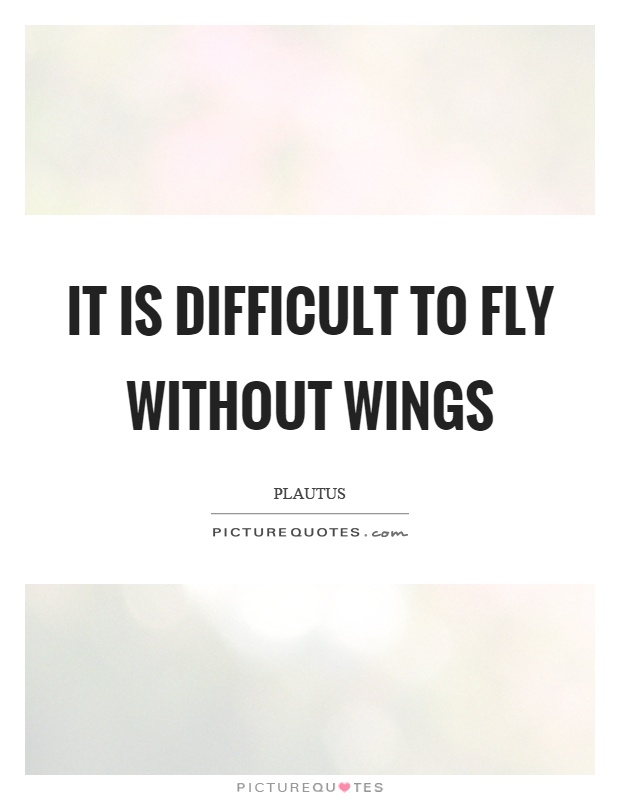 It is difficult to fly without wings Picture Quote #1