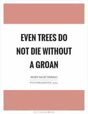 Even trees do not die without a groan Picture Quote #1