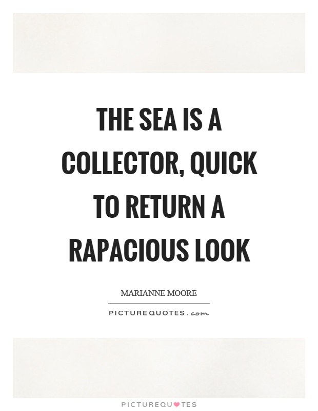 The sea is a collector, quick to return a rapacious look Picture Quote #1