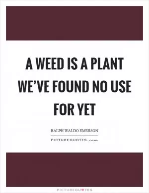 A weed is a plant we’ve found no use for yet Picture Quote #1