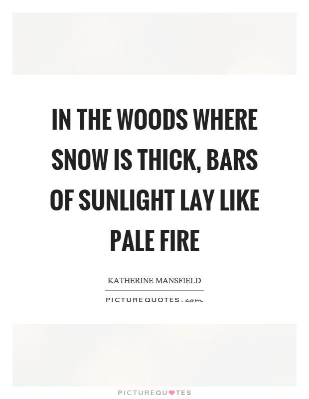 In the woods where snow is thick, bars of sunlight lay like pale fire Picture Quote #1