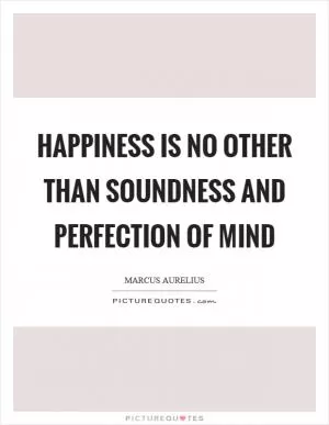Happiness is no other than soundness and perfection of mind Picture Quote #1