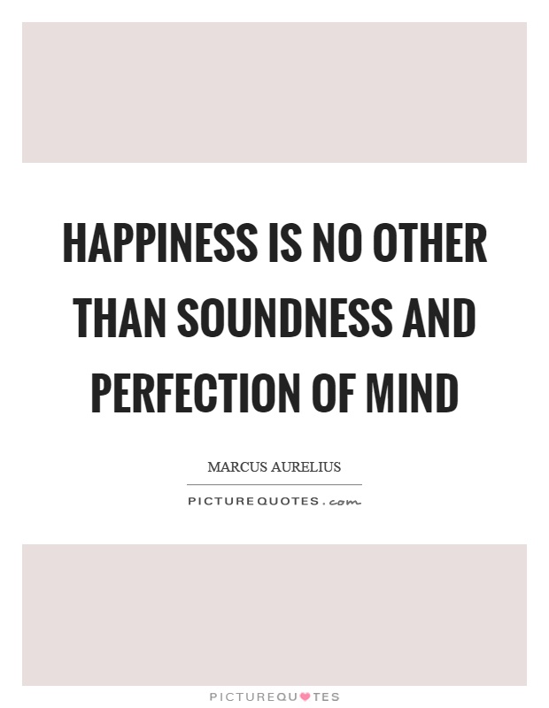 Happiness is no other than soundness and perfection of mind Picture Quote #1