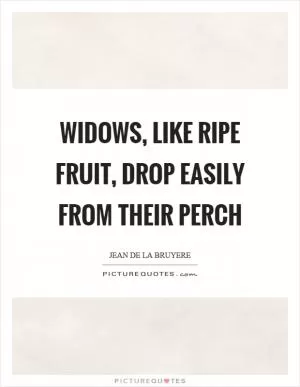 Widows, like ripe fruit, drop easily from their perch Picture Quote #1